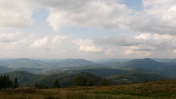 Bruid en bruidegom op de berg in de Karpaten, luchtfoto video — Stockvideo