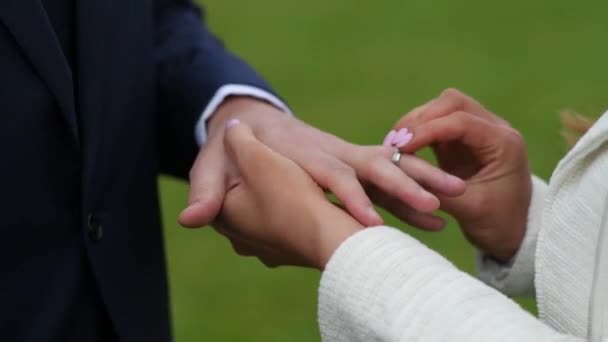 Zblizka, nevěsta a ženich nosí prsteny — Stock video