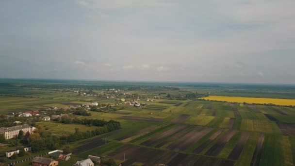 Luftaufnahme, ukrainisches Feld in der Nähe des Dorfes — Stockvideo