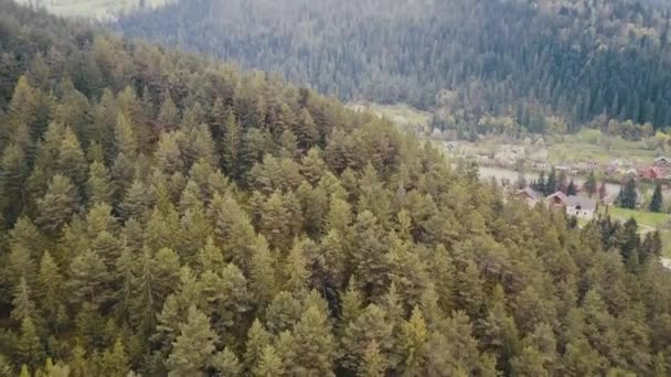 공중 사진, 카르파티아 산들 과 야레 슈 주변의 숲 — 비디오