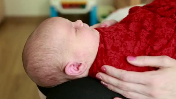 O fotógrafo prepara uma menina recém-nascida para uma sessão de fotos, muda de roupa, muda de planos de fundo — Vídeo de Stock