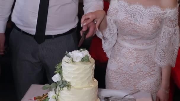 Свадьба, крупный план, невеста и жених разрезают торт — стоковое видео