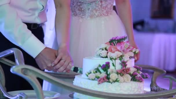 Close-up van de bruid en bruidegom snijd de bruidstaart — Stockvideo