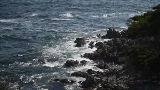 Prachtig uitzicht op de rotsachtige kust van de oceaan, veel meeuwen. — Stockvideo