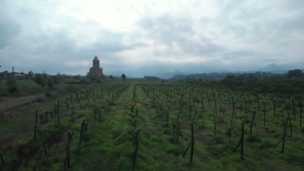 4K Rekaman stok udara dari katedral bersejarah, gereja di malam hari di bawah langit biru berat di wilayah Guria, Georgia. Di bidang pertama adalah perkebunan anggur oleh para bhikkhu — Stok Video