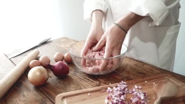 Isian daging untuk irisan daging atau bakso dalam baja tahan karat. Masak mencampur mince dengan tangan. Konsep: makanan, memasak, burger . — Stok Video