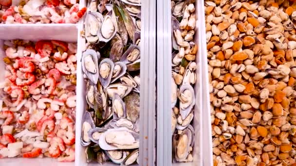 Mexilhões, camarão e peixe colocados no balcão no mercado de frutos do mar . — Vídeo de Stock