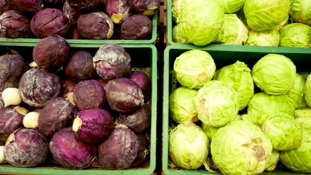 Sortiment zeleniny najdete v obchodě s supermarkety. Zahrnuje zelí, celer, brokolice. — Stock video
