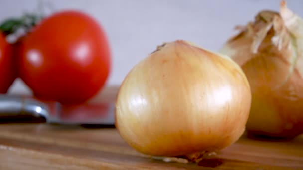 DOLLY. El cuchillo de tomate de cebolla de rábano y otras verduras en una tabla de cocina — Vídeos de Stock