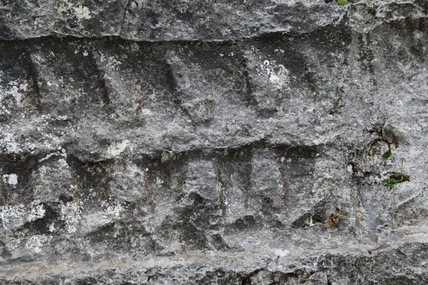 Ancak görünür on iki Hitit tanrıları