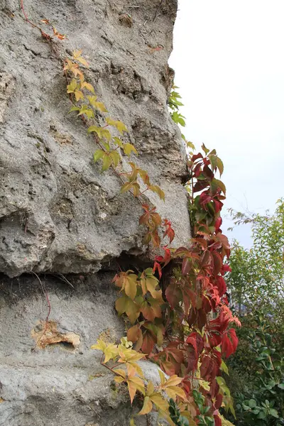 Nasıl bir kaya tırmanmaya