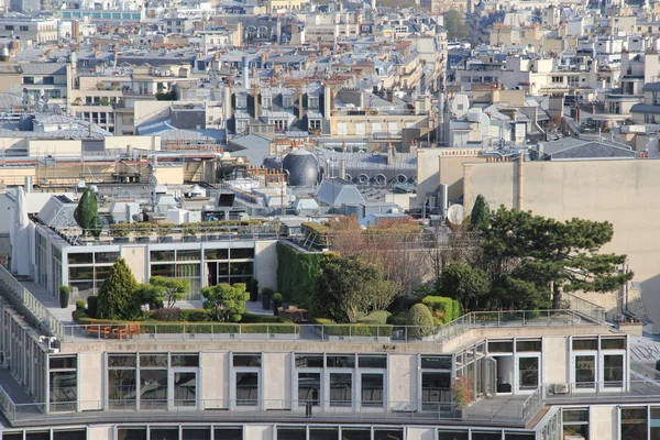 Kentsel ormanda bir Paris çatı üzerinde