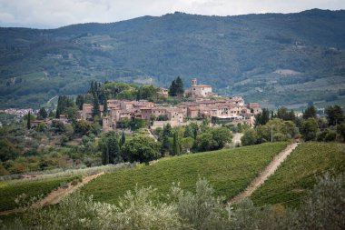 Montefioralle Köyü - Chianti Klasik bölgesindeki eski bir yerleşim yeri, üzüm bağları, zeytin ağaçları, Toskana, İtalya