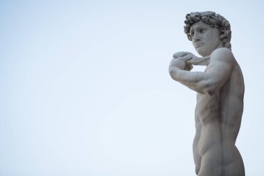 FLORENCE, ITALY - 26 AUG 2025: Müze Palazzo Vecchio 'nun önünde Michelangelo' dan David 'in heykeli. Floransa, İtalya