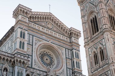 Duomo 'lu Rosette Santa Maria del Fiore, Floransa, İtalya.