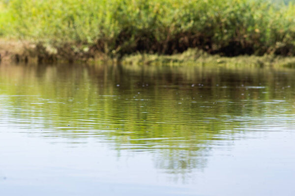 Focused river surface with a coast on background