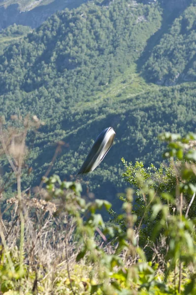 Uçan daire çimlerin üzerinde uçuyor. 