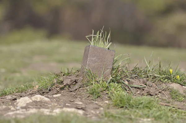 İçinde ot büyüyen eski demir kule.
