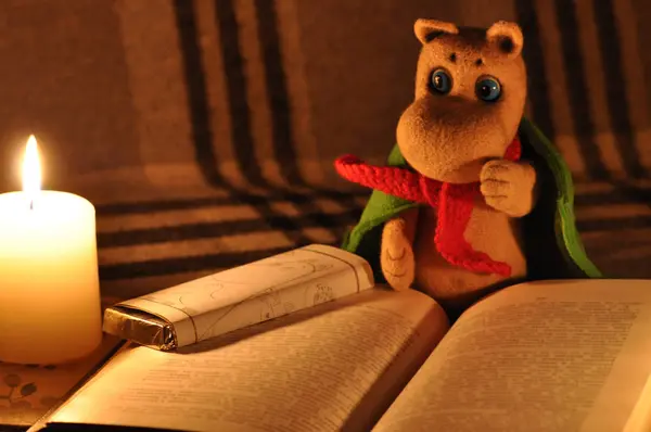 Genç Mumintroll kitabı okuyor.