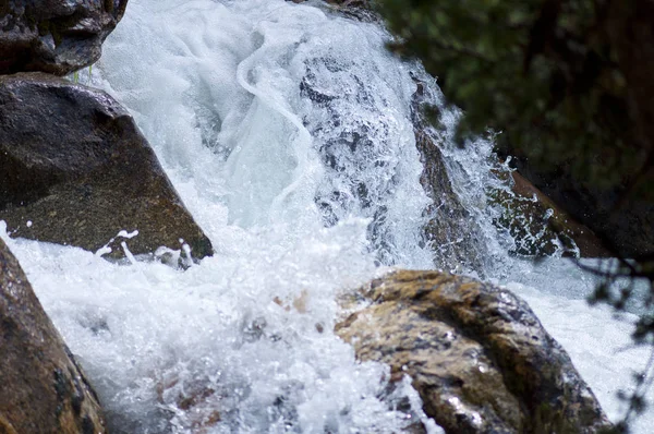 Orman nehrinde temiz su