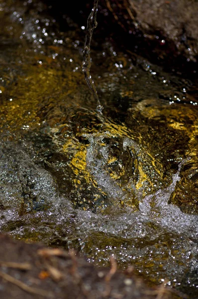 Orman nehrinde temiz su