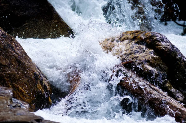 Orman nehrinde temiz su