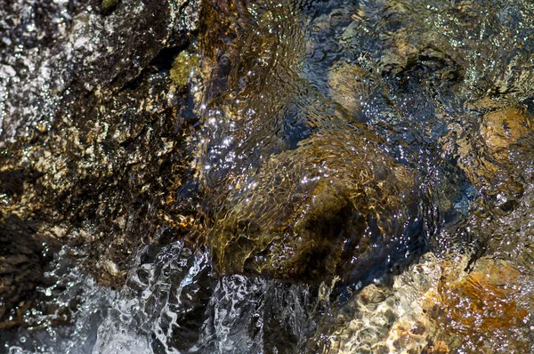 Orman nehrinde temiz su