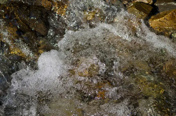 Orman nehrinde temiz su