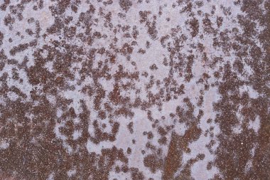 Metal doku. Eski paslı metal düzgün yüzey. Arka plan.