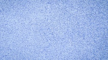 Homojen yüzey köpük beton, sıva. Soyut doğal 