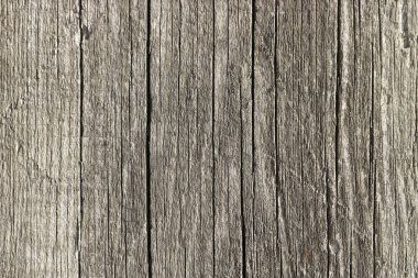 Doku eski kaba ahşap. Arka plan tasarımı için. Retro Vintage