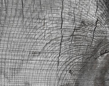 Doku eski kaba ahşap. Arka plan tasarımı için. Retro Vintage