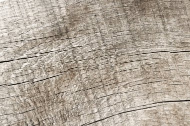 Doku eski kaba ahşap. Arka plan tasarımı için. Retro Vintage