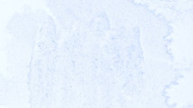 Hafif pastel mavi suluboya arka plan, spot, boya, leke, boşanma sıçrama. Vintage desen farklı tasarım ve dekorasyon için. Metin için ile yer.