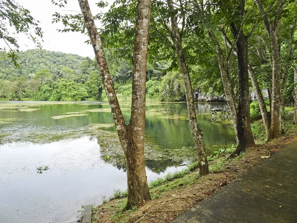 Malerisch Bewachsener Teich Unter Dem Berg Mit Dschungel Bei Bewölktem — Stockfoto