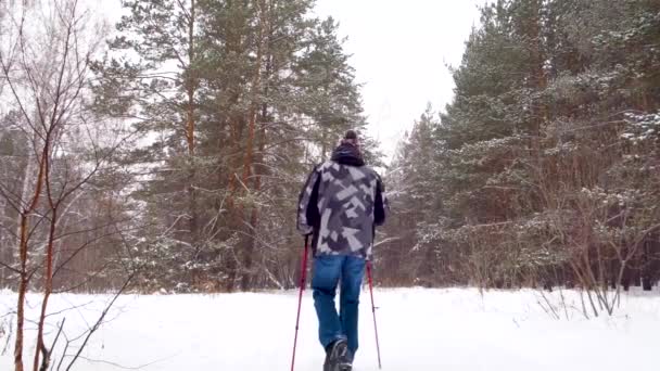 Bir adam bir iz bir kış orman boyunca girer — Stok video