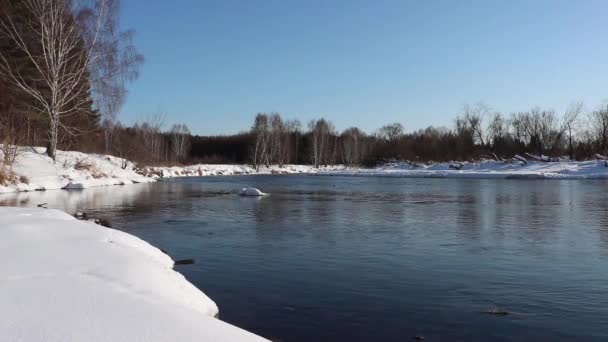 El río descongelado fluye entre las costas cubiertas de nieve de un bosque de abedules — Vídeos de Stock