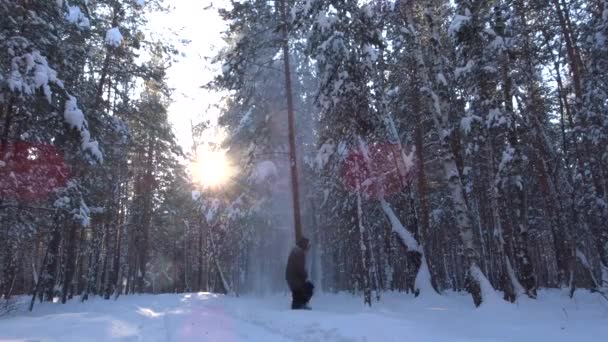 Personen går till trädet, träffar honom. — Stockvideo