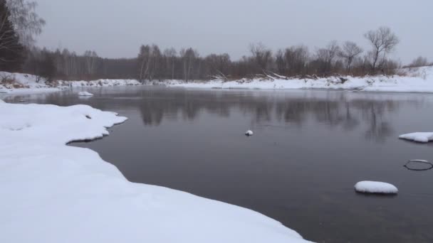 Paysage hivernal - flux fluviaux non gelés parmi la rivière enneigée Côtes d'une forêt de bouleaux . — Video