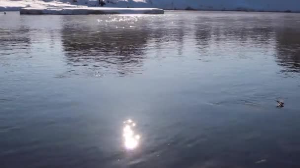 El reflejo del resplandor del sol en el agua corriente del río con una orilla nevada — Vídeo de stock