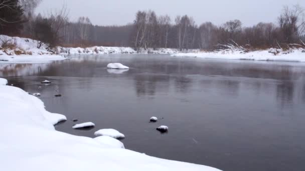 Vinterlandskap - icke-frysning flodflödena bland snötäckta floden kuster en björkskog. — Stockvideo