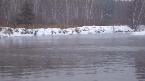 Vinterlandskap - icke-frysning flodflödena bland snötäckta floden kuster en björkskog. — Stockvideo