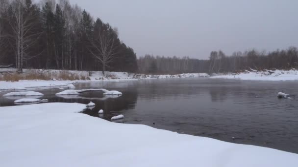 Vinterlandskap - icke-frysning flodflödena bland snötäckta floden kuster en björkskog. Mulet väder, det snöar. — Stockvideo