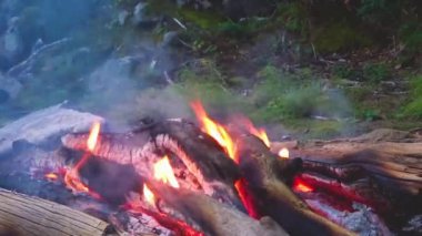 Ateşte canlı ateş. Yanan odun, kırmızı-sıcak közler, duman bukleler.