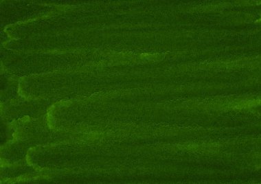 Yırtık darbeler ve çizgiler ile koyu yeşil suluboya çerçeve. Tasarım, düzenler ve desenler için soyut arka plan. Metin için kopyalama alanı ile.