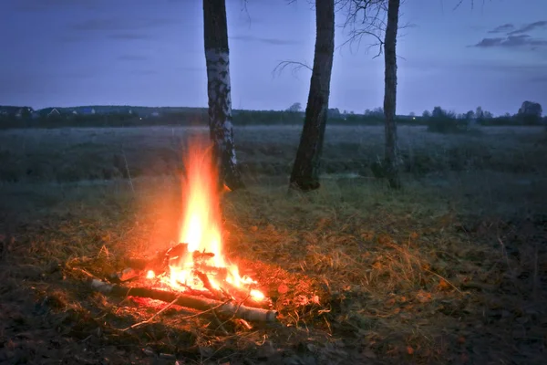 Μεγάλη Φωτιά Στο Δάσος Της Σημύδας Δίπλα Στο Ποτάμι — Φωτογραφία Αρχείου