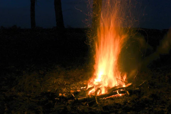 Duży Ognisko Lesie Brzozowej Ognisko Wysokim Ogniu — Zdjęcie stockowe