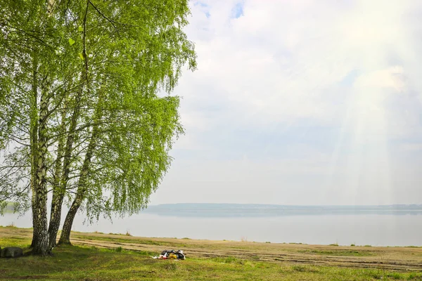 Das Ufer Des Sees Mit Birken Frühen Morgen Der Trüben — Stockfoto