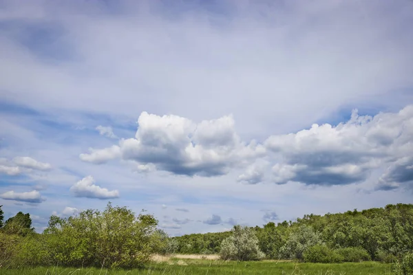 Летний Пейзаж Cumulus Cirrus Голубом Небе Над Прибрежными Лиственными Лесами — стоковое фото