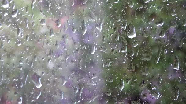 Pencere bölmesinden büyük yağmur damlaları akar. — Stok video